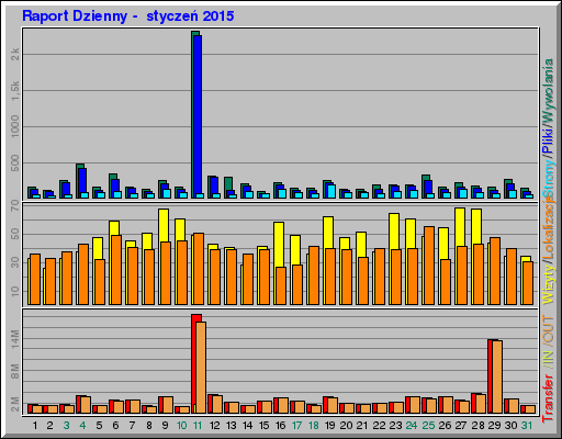 Raport Dzienny -  styczeń 2015