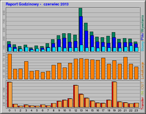 Raport Godzinowy -  czerwiec 2013