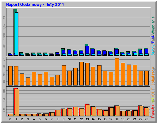 Raport Godzinowy -  luty 2014