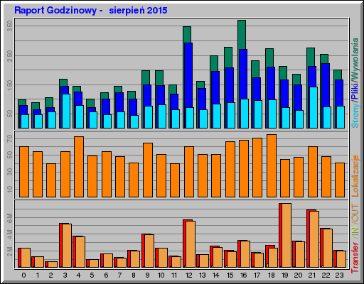 Raport Godzinowy -  sierpień 2015