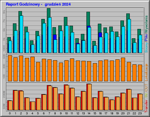 Raport Godzinowy - grudzieĹ 2024 Raport Godzinowy - grudzieĹ 2024